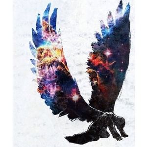 Meet your Posher, Tabby